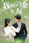 《我的刁蛮女友》封面