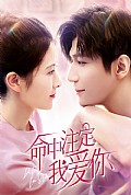 《我爱你命中注定》封面