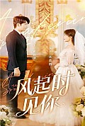 《风起时见你》封面