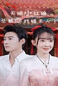 《天赐小红娘总裁你找错夫人了》封面