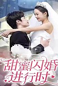 《甜蜜闪婚进行时》封面