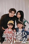 《霸情恶少的小逃妻》封面