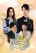 《首富大佬的小孕妻》封面