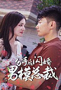 《分手后闪婚男模总裁》封面