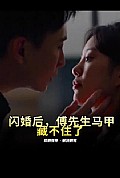 《闪婚后，傅先生马甲藏不住了》封面
