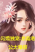 《闪婚独宠，总裁老公太难缠》封面