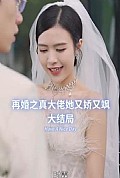 《再婚之真大佬她又娇又飒》封面