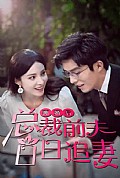 《离婚后总裁前夫日日追妻》封面