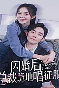 《闪婚后，总裁跪地唱征服》封面