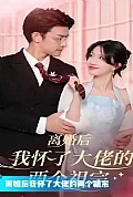 《离婚后我怀了大佬的两个祖宗》封面