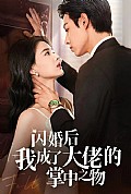 《闪婚后我成了大佬的掌中之物》封面