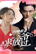 《闪婚甜妻：二爷求放过》封面