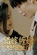 《错嫁缠婚大佬送上门》封面