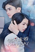《错爱成婚：陆总你认错人了》封面