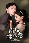 《南风拂我意》封面