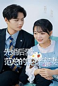 《先婚后爱：范总的花样宠妻》封面