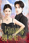 《闪婚影帝甜蜜蜜》封面