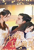 《季少的千亿前妻》封面