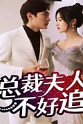《总裁夫人不好追》封面