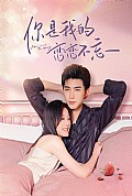 《你是我的恋恋不忘》封面