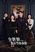 《全世界都在等你离婚》封面