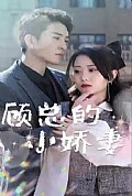 《顾总的小娇妻》封面