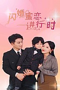 《闪婚蜜恋进行时》封面