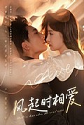 《风起时相爱》封面