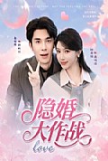 《隐婚大作战》封面