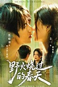 《野火烧过的春天》封面
