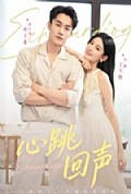 《心跳回声》封面