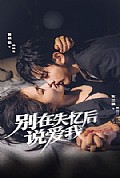 《别在失忆后说爱我》封面
