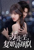 《苏先生，复婚请排队》封面
