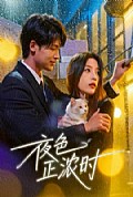 《夜色正浓时》封面