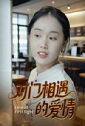 《对门相遇的爱情》封面