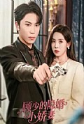 《顾少的隐婚小娇妻》封面