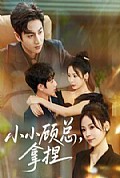 《小小顾总拿捏》封面