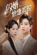 《闪婚恰逢其时》封面