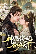《神医傻妃名动天下》封面