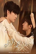 《因为遇见你》封面