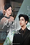 《风起时情正浓》封面