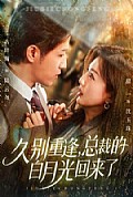 《久别重逢，总裁的白月光回来了》封面