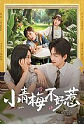 《小青梅不好惹》封面