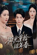 《微光重拾旧年春》封面