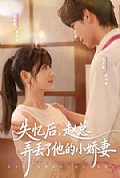 《失忆后，赵总弄丢了他的小娇妻》封面