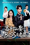 《高手下山娶个BOSS当老婆》封面