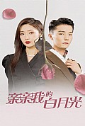《亲亲我的白月光》封面