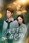 《风雪千山春色晚》封面