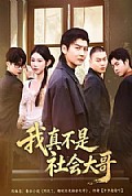 《我真不是社会大哥》封面