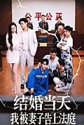 《结婚当天我被妻子告上法庭》封面